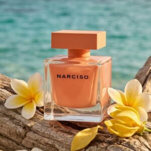 Narciso